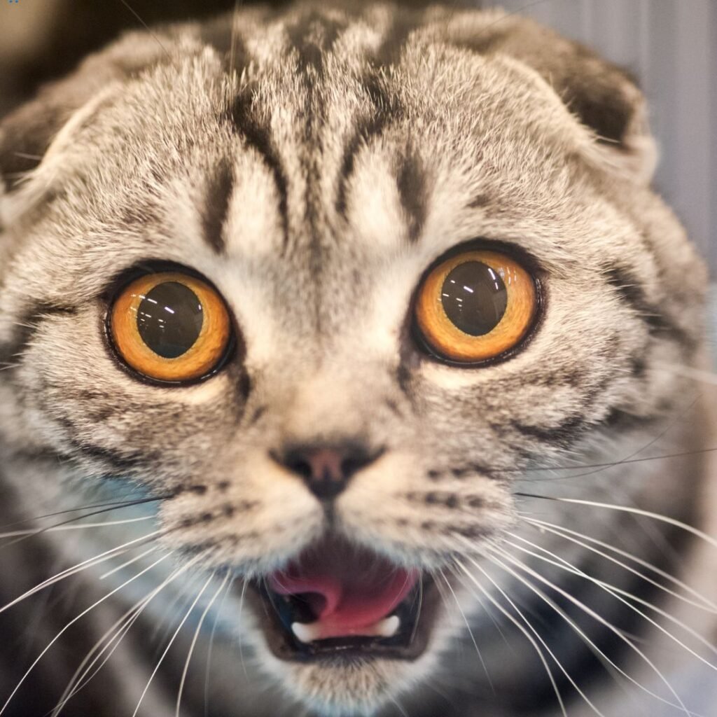 We Just Discovered Something Huge About Google