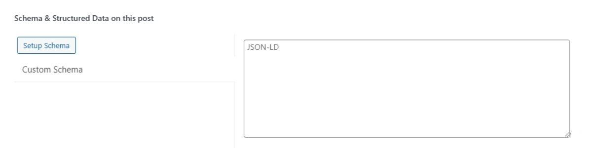 Place to add a custom schema to a blog post